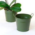 6 1/2" Olive Green Painted Pail w/ Duel Handle